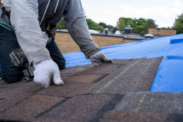 Best Roof Gutter Cleaning  in Hillsboro, KS